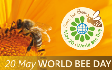 World bee day